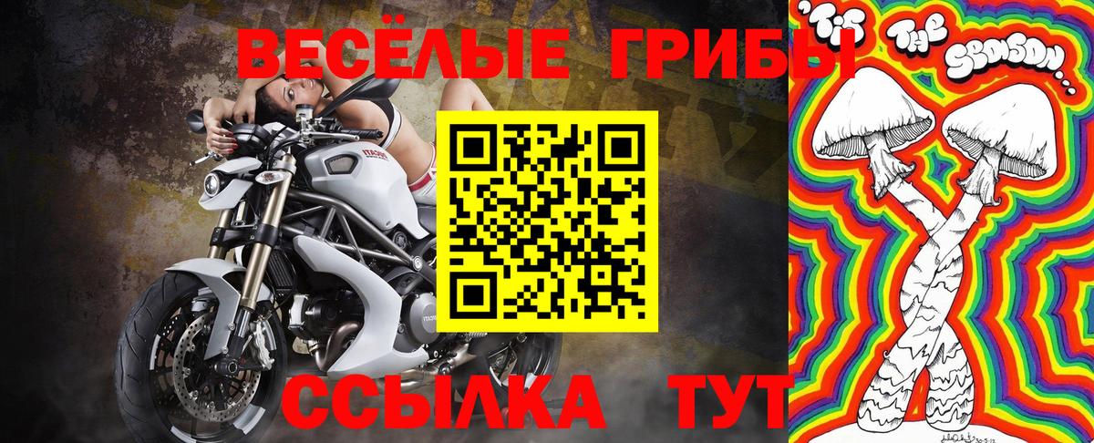 Галлюциногенные грибы Psilocybine cubensis  Комсомольск-на-Амуре 