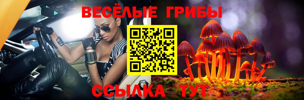 Псилоцибиновые грибы Cubensis  Вход с VPN  Комсомольск-на-Амуре  Галлюциногенные грибы GOLDEN TEACHER 