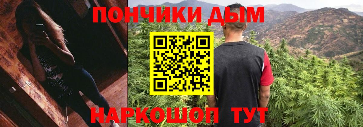 Конопля сатива  Бошки Шишки сатива  Комсомольск-на-Амуре  Конопля план 